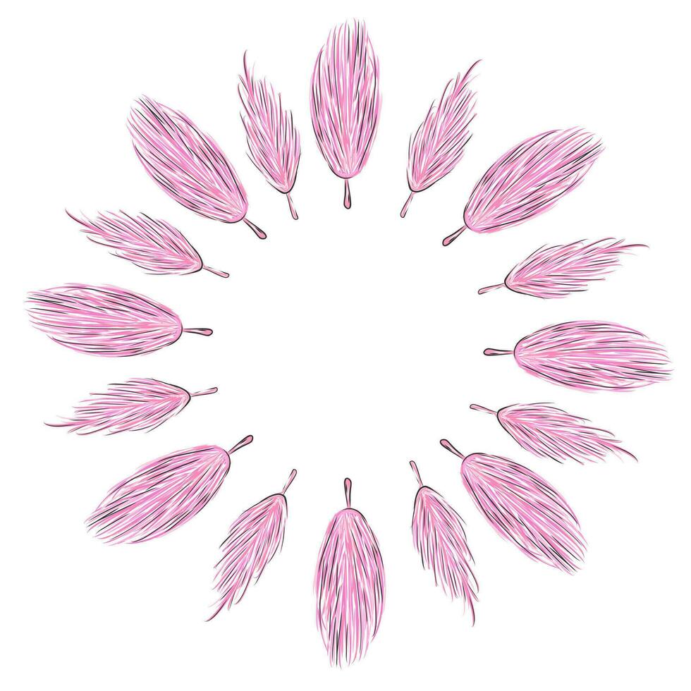 Pink feather frame vector