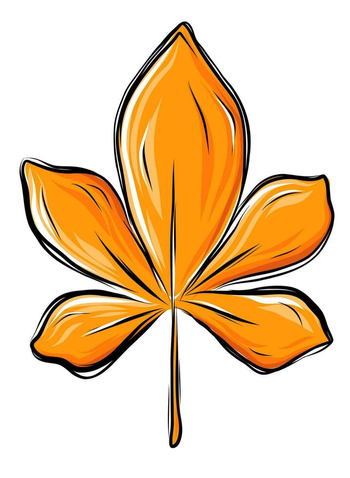 Autumn maple leaf vector