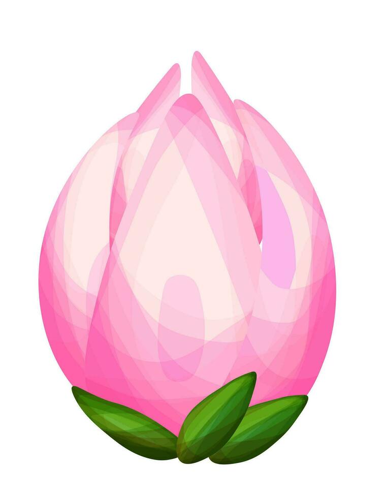 Magnolia flower in pink color vector