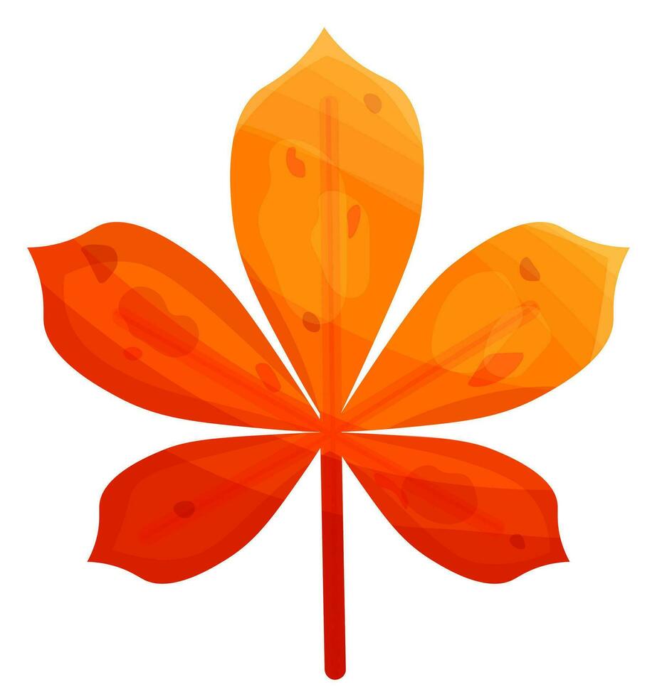 Orange autumn chestnut leaf vector
