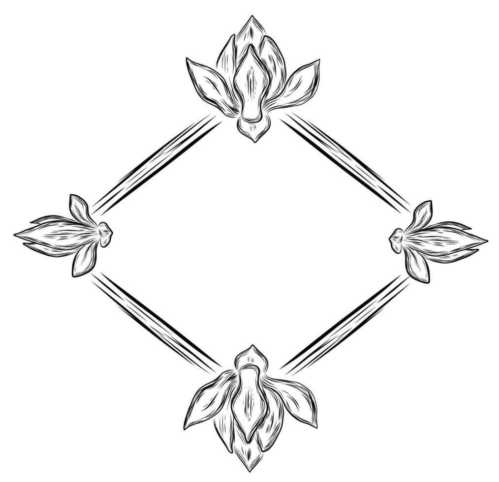 Magnolia sketch frame vector