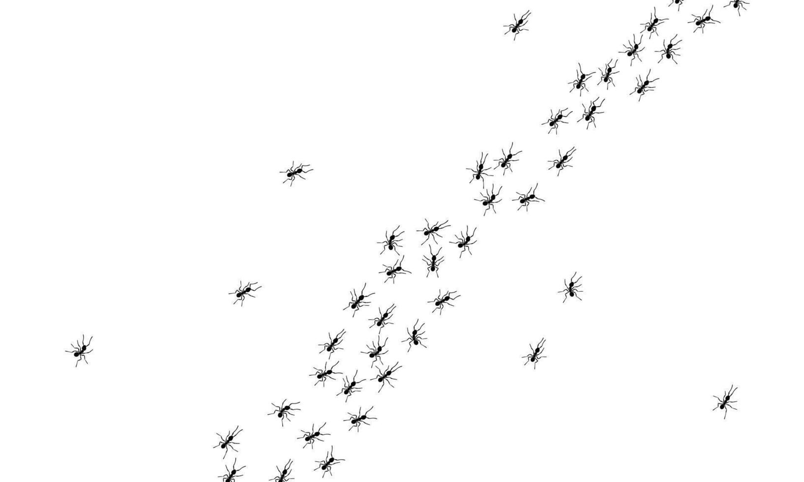 Worker ants trail line flat style design vector illustration isolated on white background.