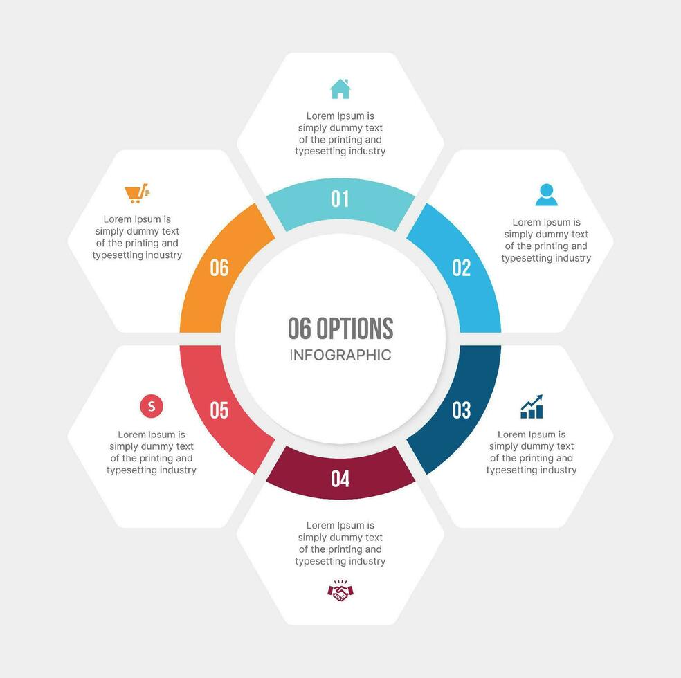 seis 6 6 opciones circulo ciclo infografía modelo diseño vector