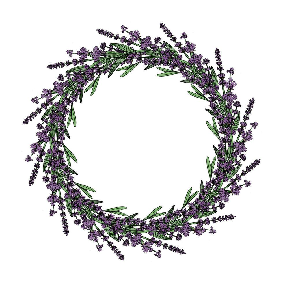 Round floral frame with violet lavender flowers. Vintage hand drawn style. Vector illustration, template, isolated on a white background