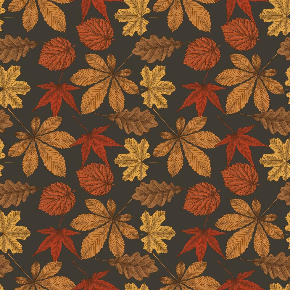 Autumn leaves seamless pattern in vintage style. Vector illustration in engraved style