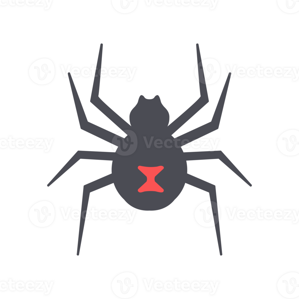 scary spider For decorating party cards on Halloween night. png