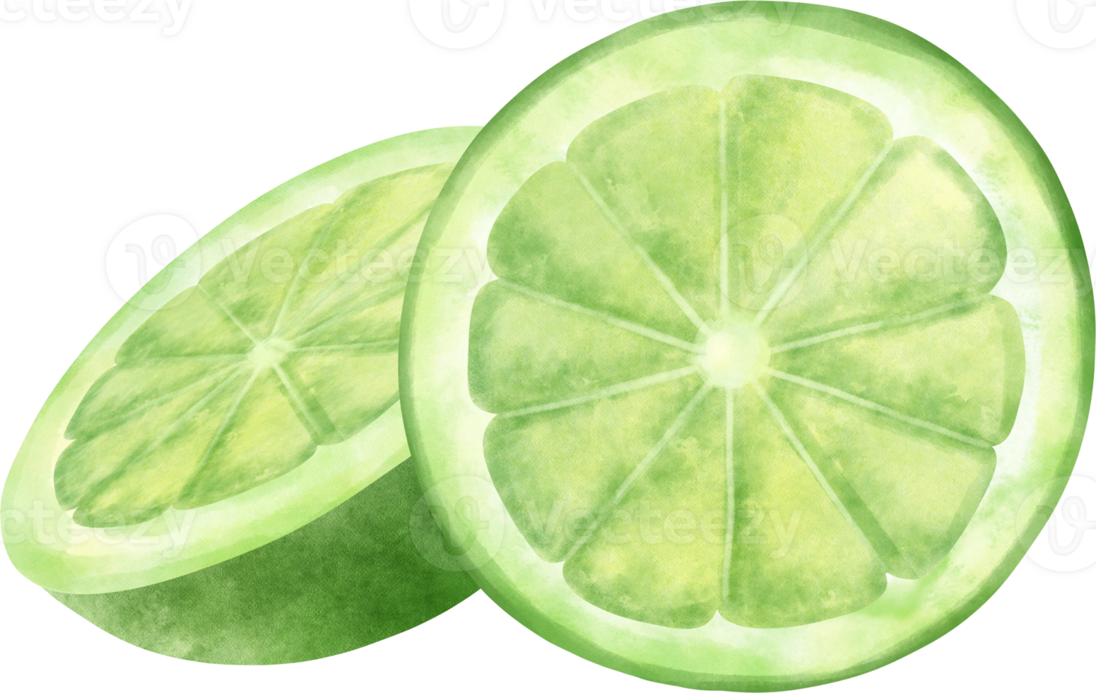 Watercolor Lime illustration png