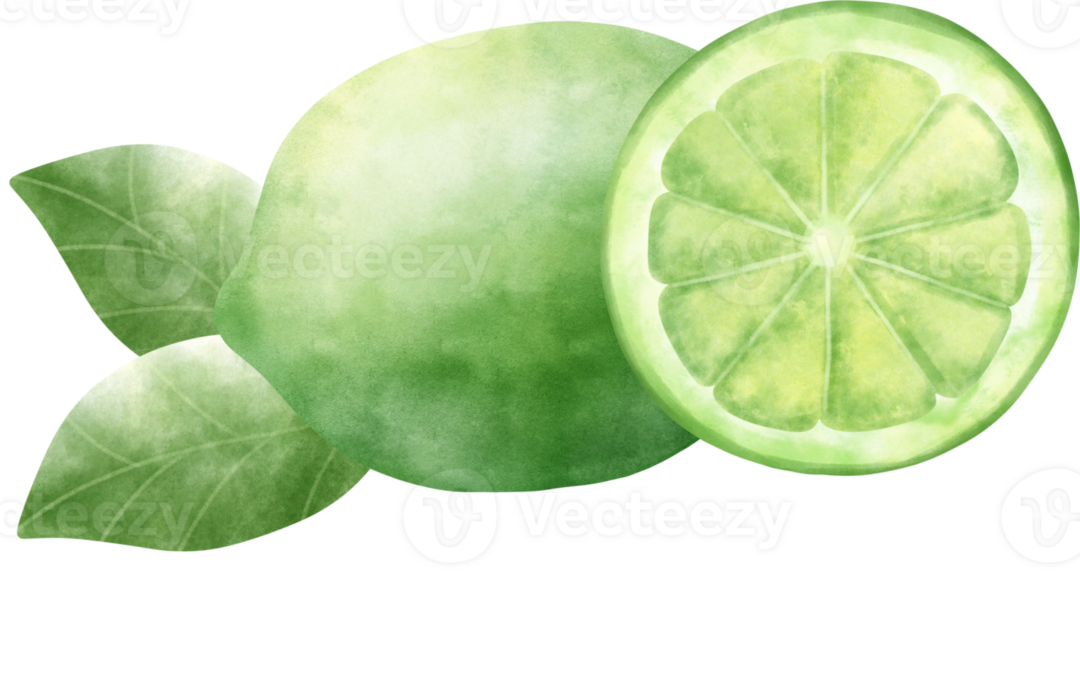 Watercolor Lime illustration png