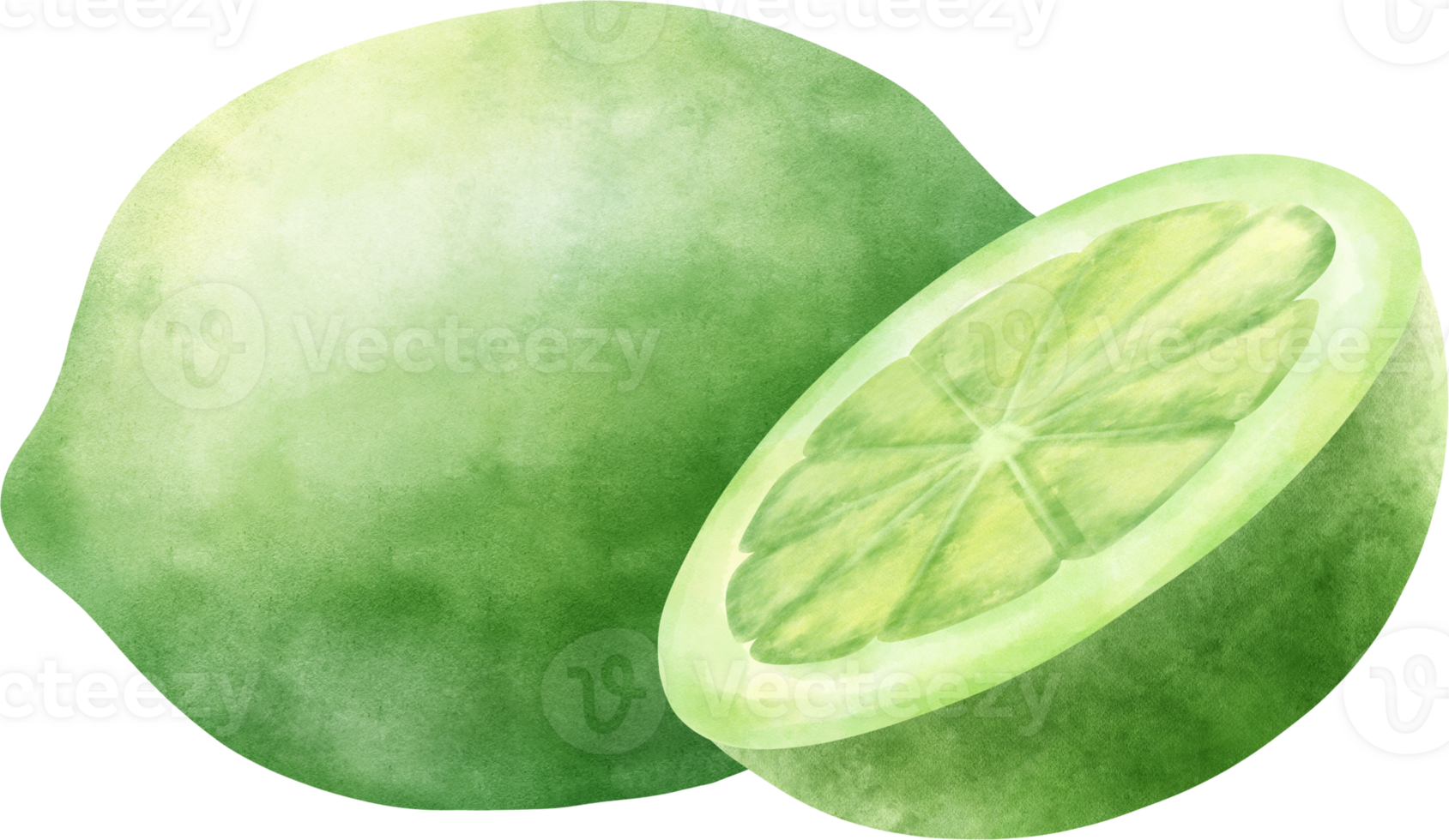 Watercolor Lime illustration png