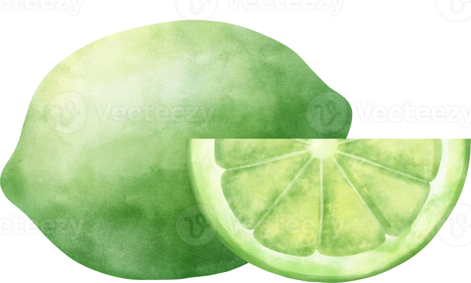 Watercolor Lime illustration png