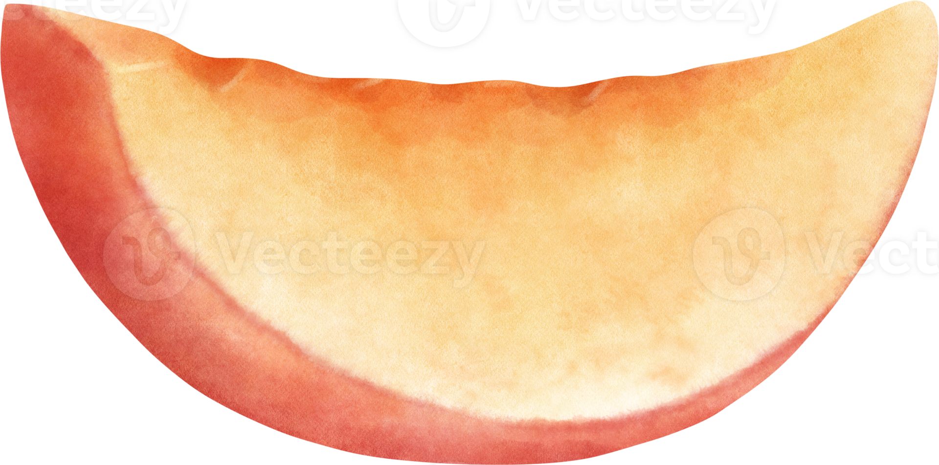 Watercolor Nectarine illustration png
