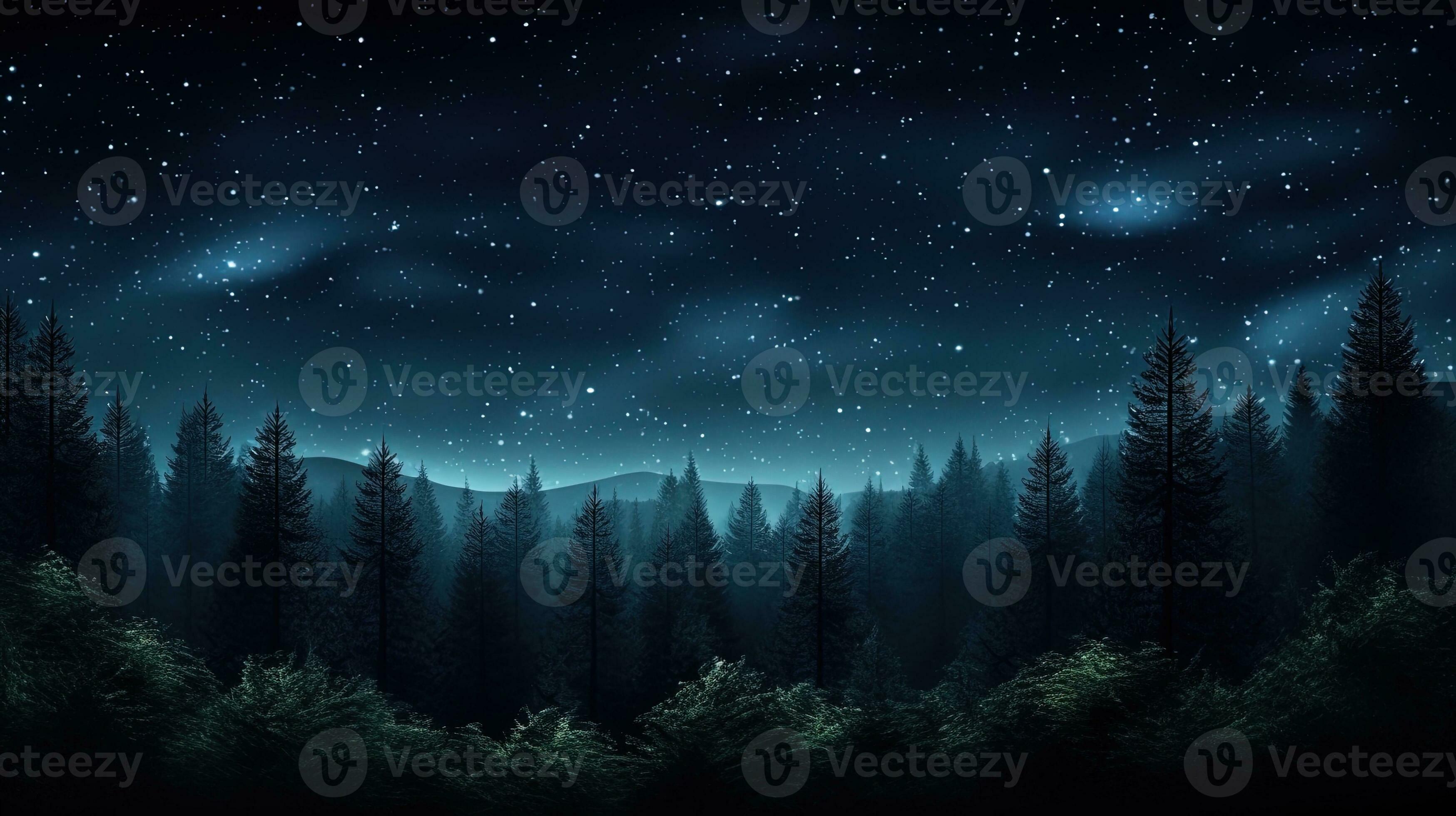 キャンバスドローイング『The forest at night』 キャンバスドローイング『The forest at night』 Mystical