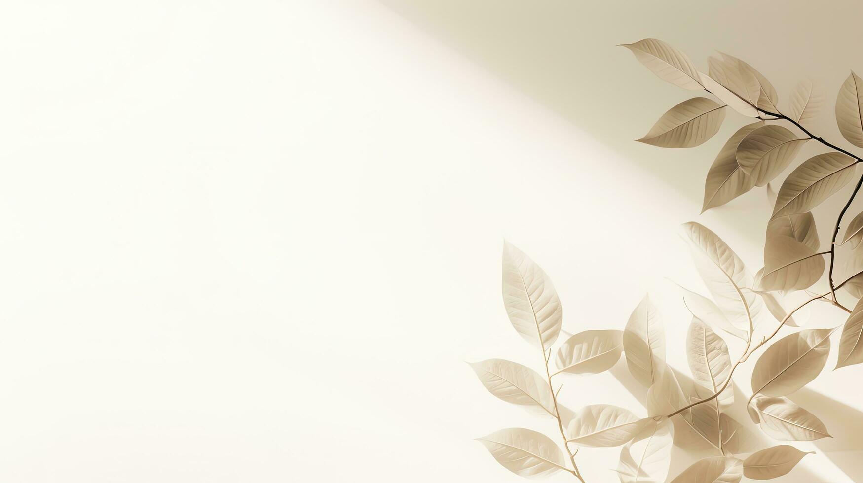 minimalista concepto fotografía para blogging presentando beige monocromo fondo o salvapantallas con resumen natural hoja oscuridad en un blanco pared. silueta concepto foto