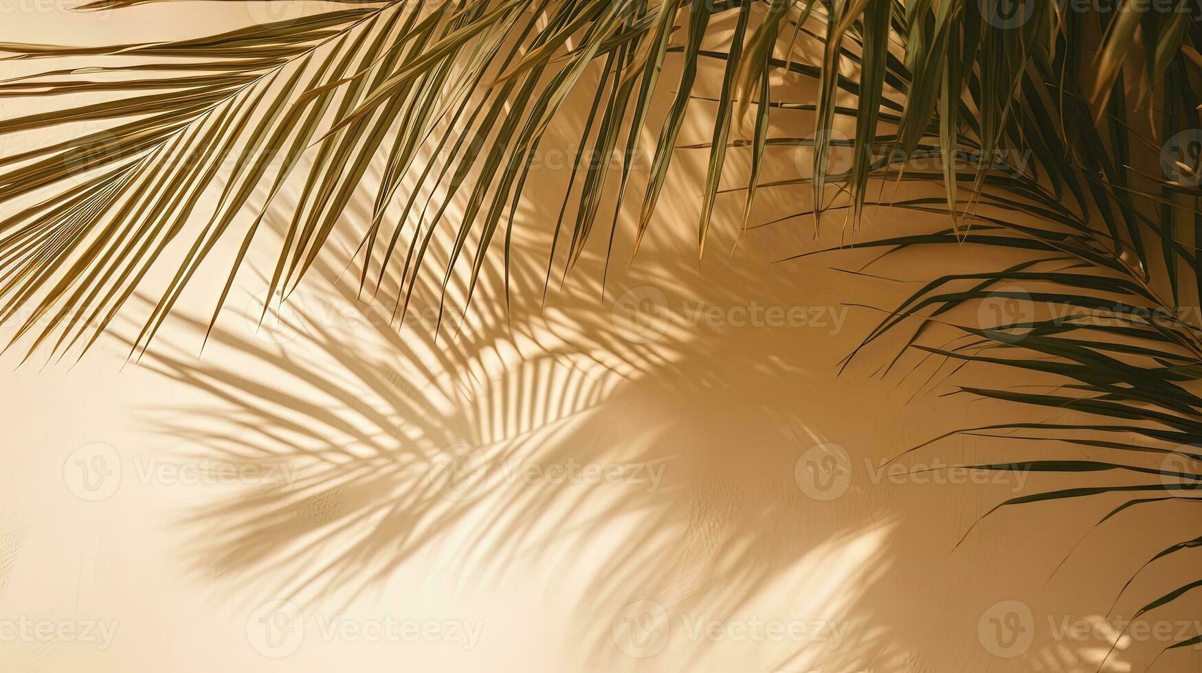 Palm tree leaves casting shadows on eco friendly cardboard. silhouette concept photo