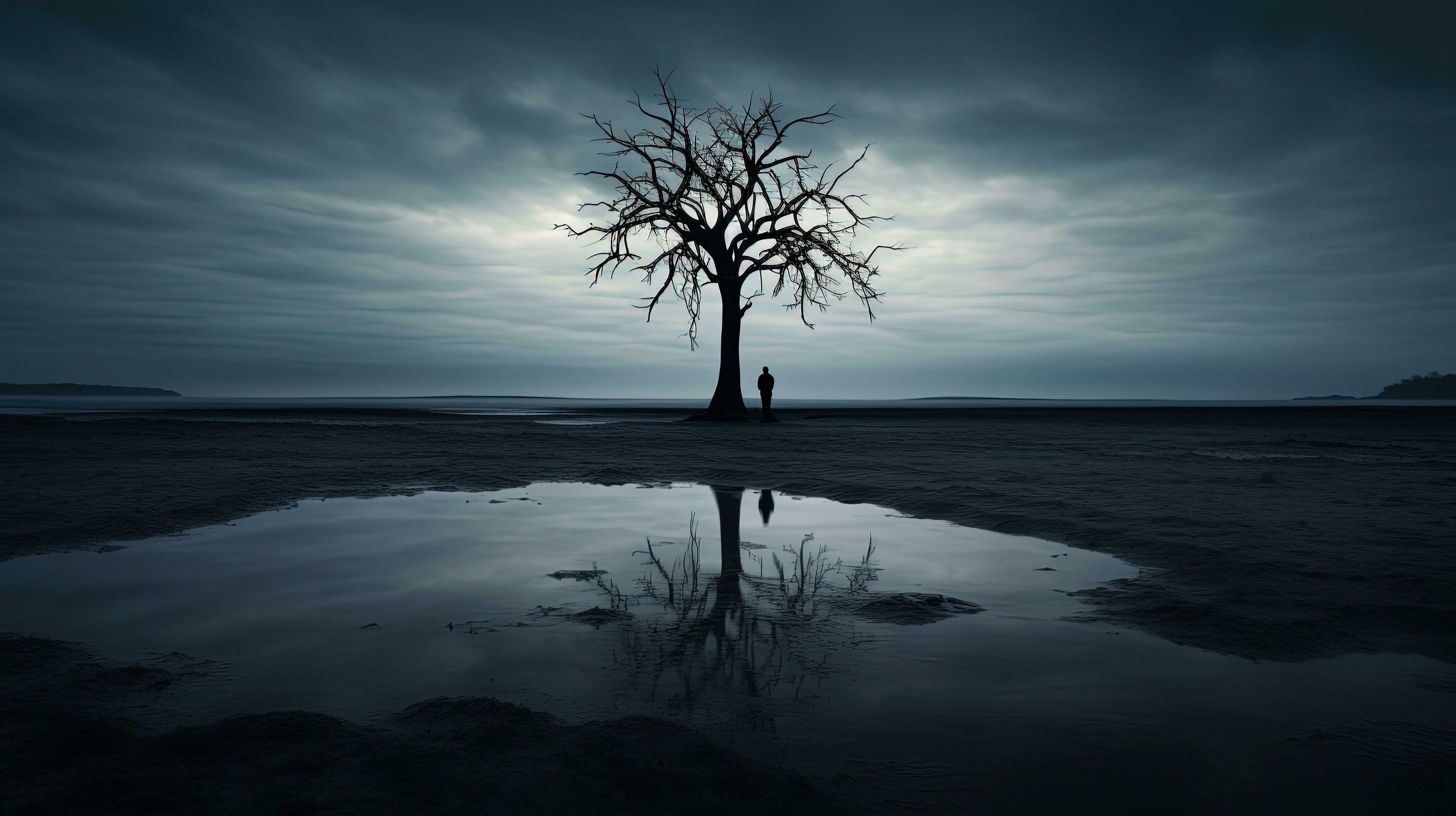Southern Swamp'S Eerie Silence: A Nyt Photographic Journey - dwh02zh