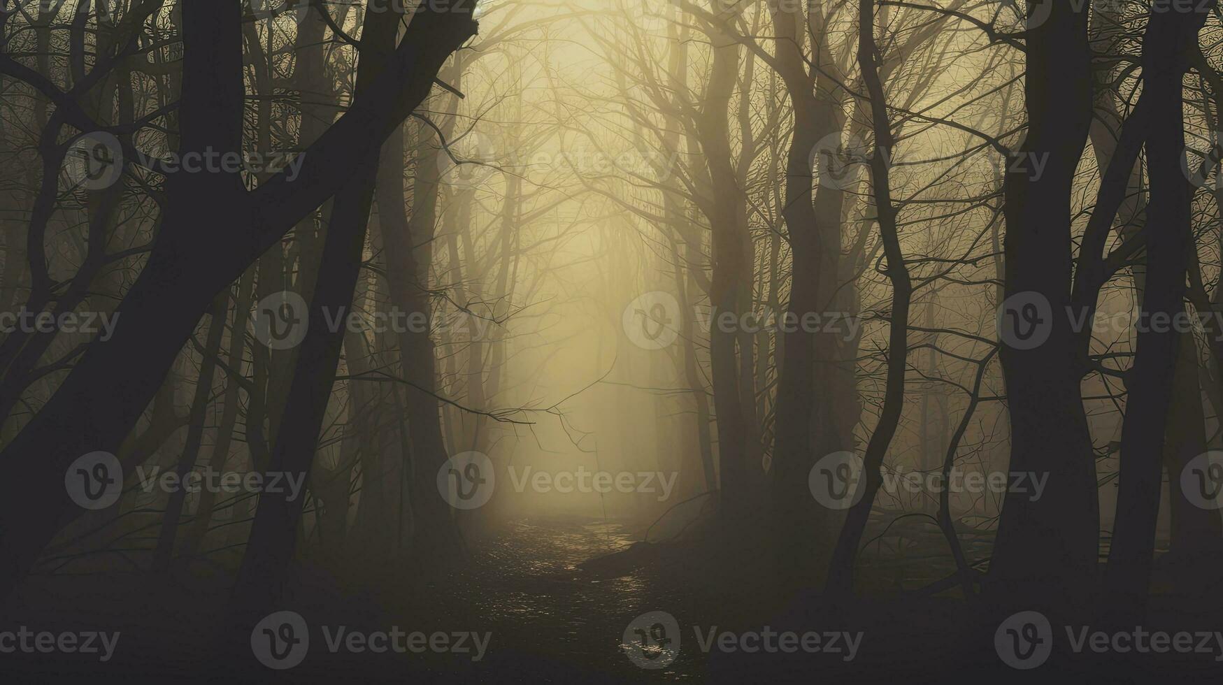 un misterioso bosque en un brumoso invierno día. silueta concepto foto