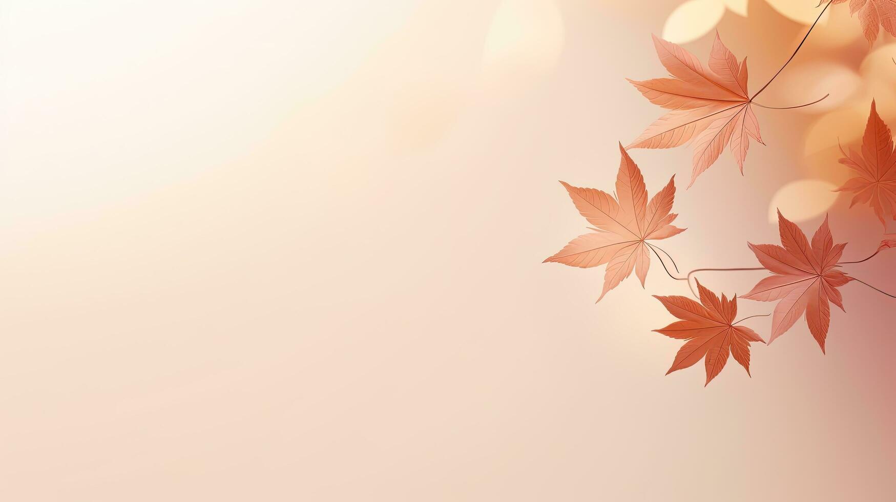 Minimalistic autumn background with maple leaf shadows on beige. silhouette concept photo