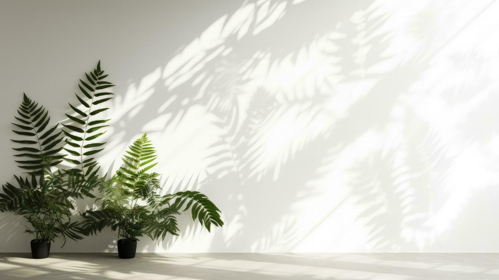 Blurry background of a white wall with shadows of tropical leaves and sunlight. silhouette concept photo