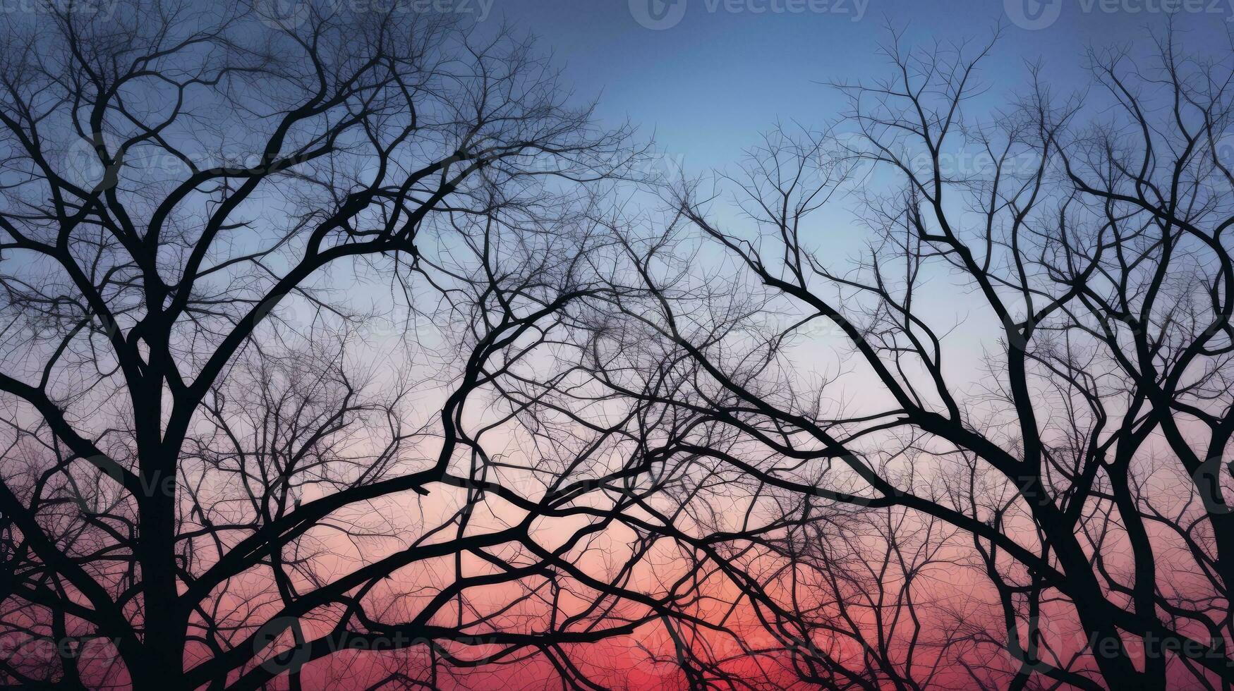 Outline of trees and branches on the sky. silhouette concept photo
