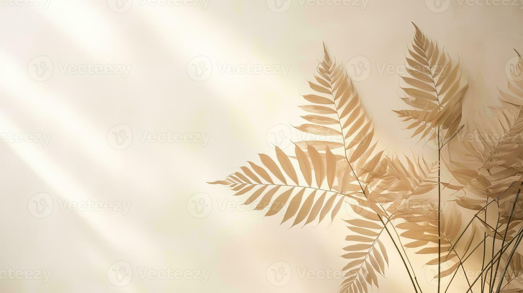 Nature s tropical leaves cast shadows and sunlight on a white wall texture for a wallpaper background creating a shadow overlay effect. silhouette concept photo