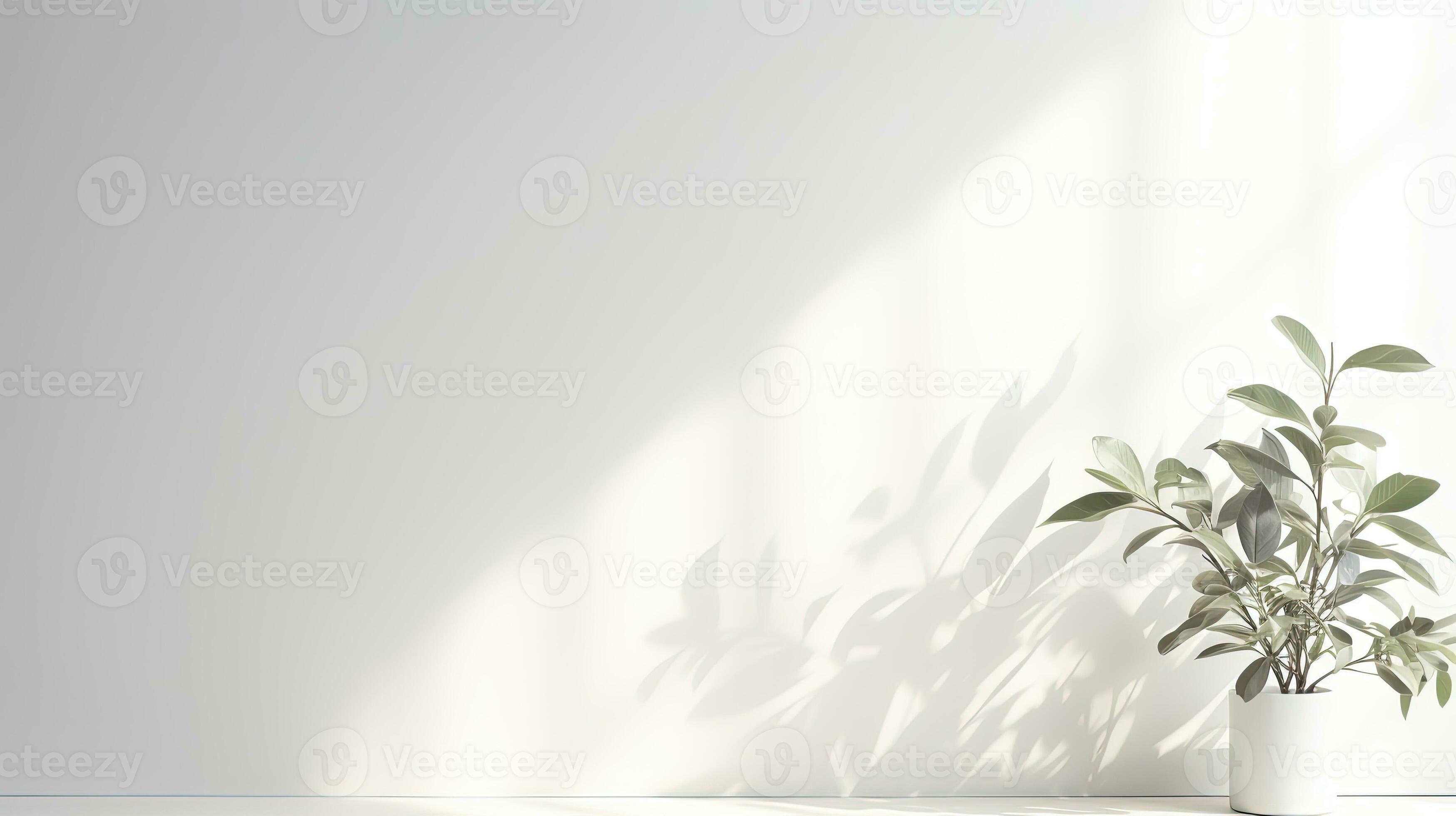 Simple white wall with blurred foliage shadow on light background