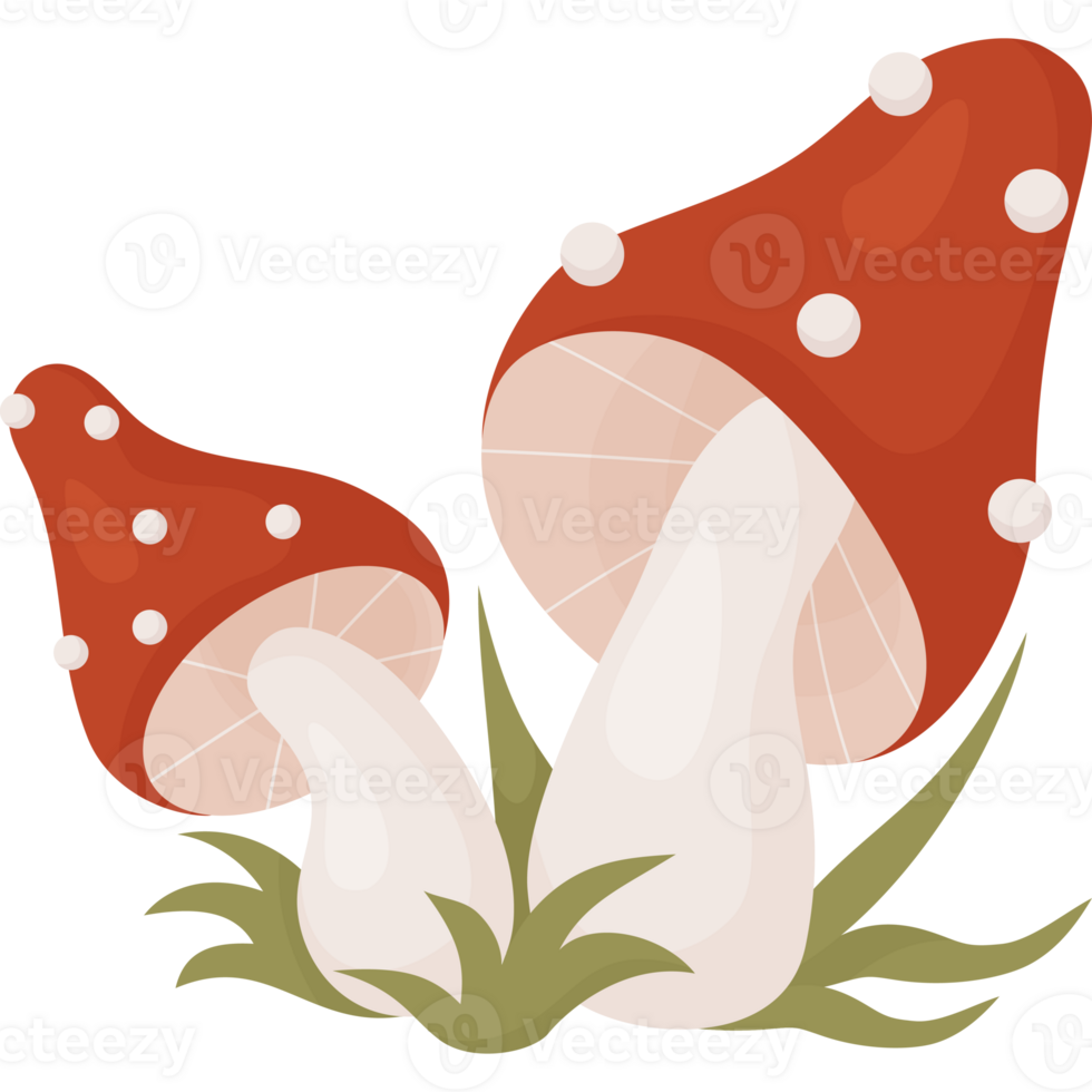 Fly agaric mushrooms in grass png