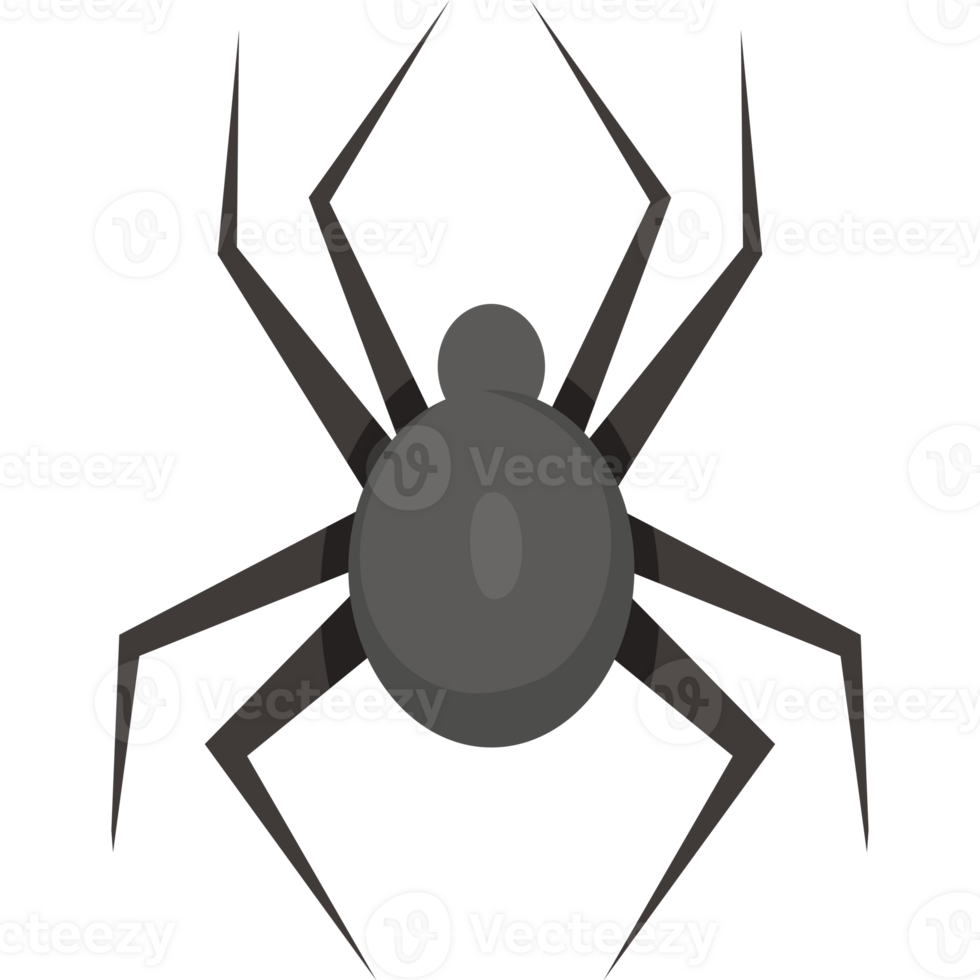 spider hand drawn png