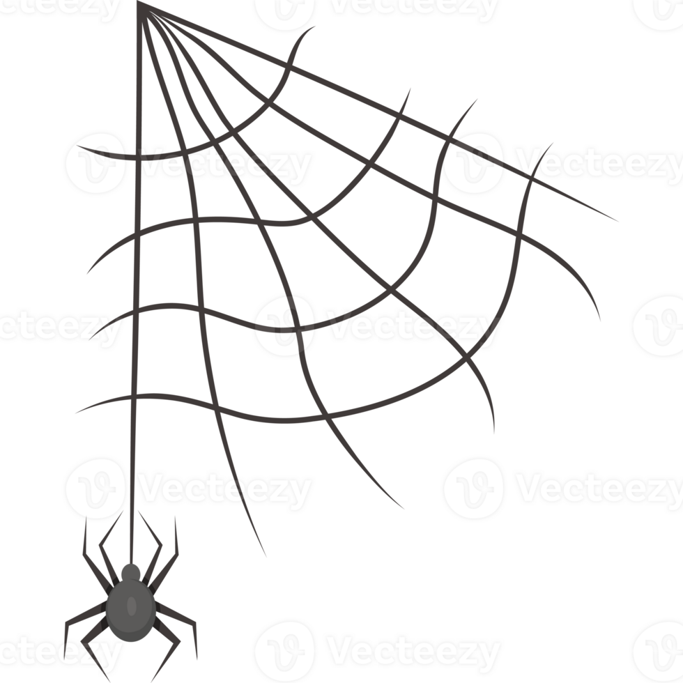 Cobweb with spider png