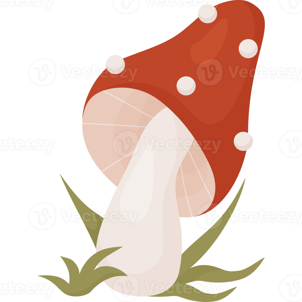 mushroom  in grass png