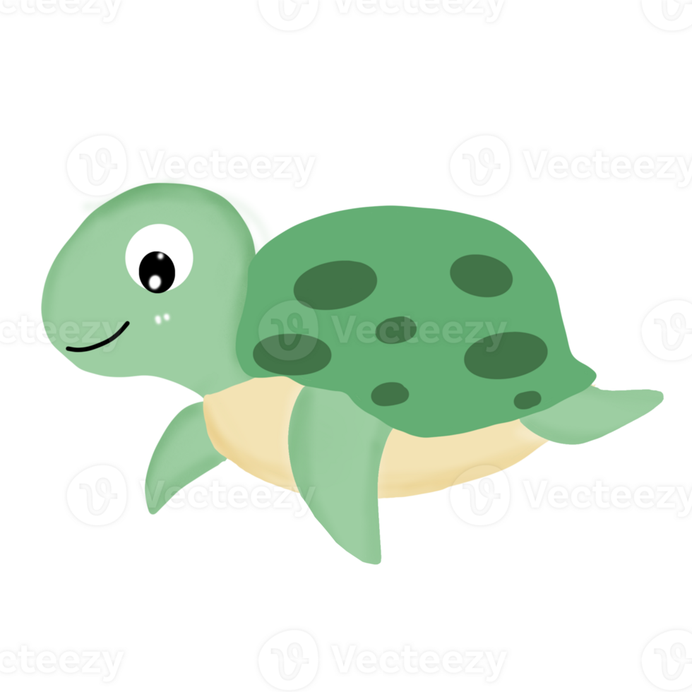 Sea turtle tortoise png
