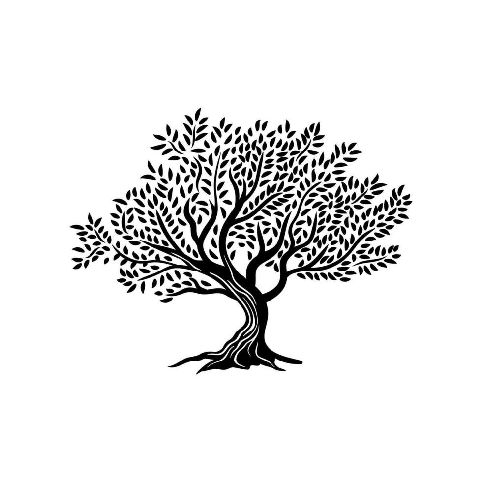 Olive tree branches and leaves isolated silhouette vector