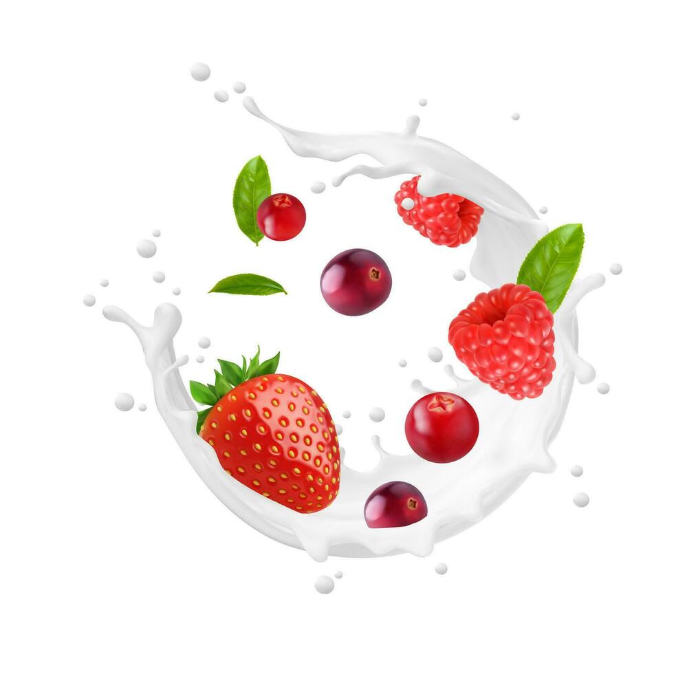 Milk or yoghurt swirl wave splash with berries vector