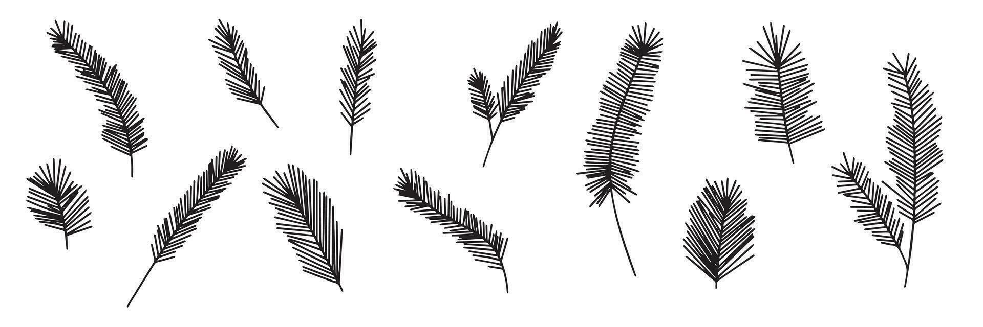 Hand drawn spruce branch. Fir tree branch in doodle style. Pine tree brunch collection isolated on white background. Vector illustration Christmas decor.