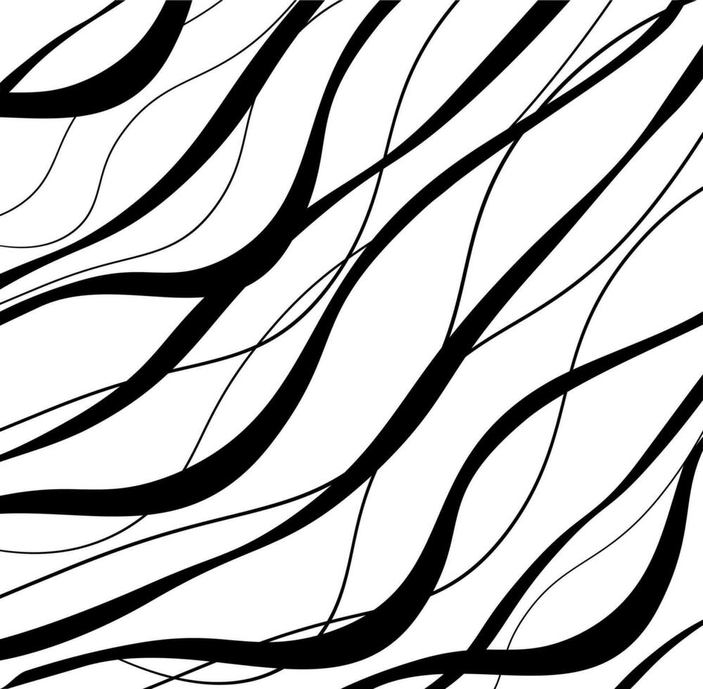 Vector abstract white background black wavy curved lines. Banner template EPS10