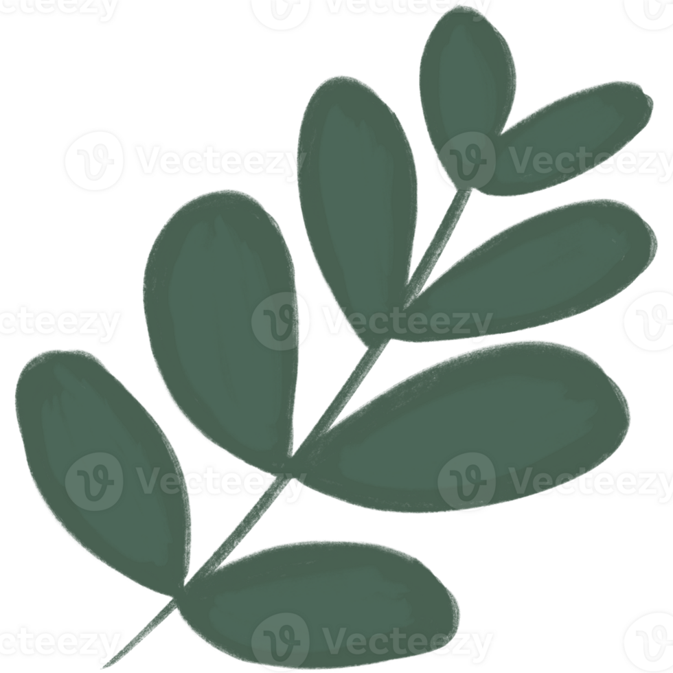 Cute fern leaves png