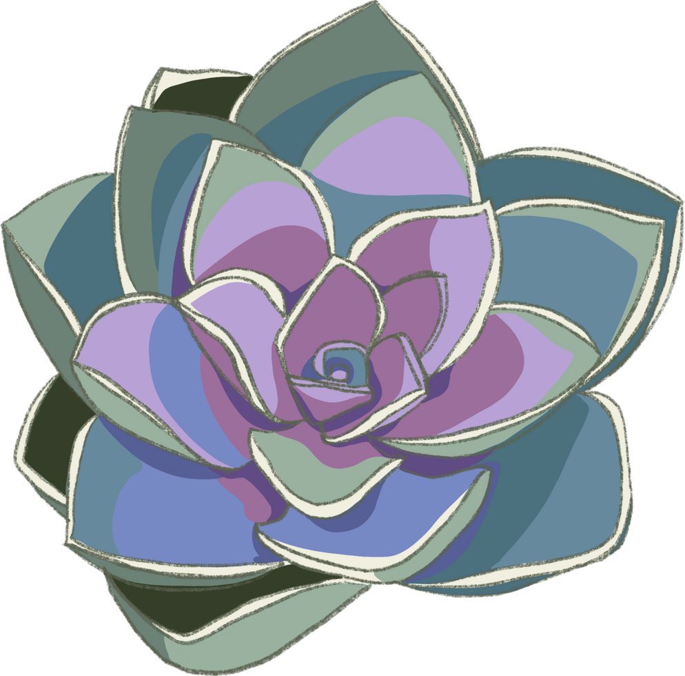 Charming Petals Flower isolated elements 27385083 PNG