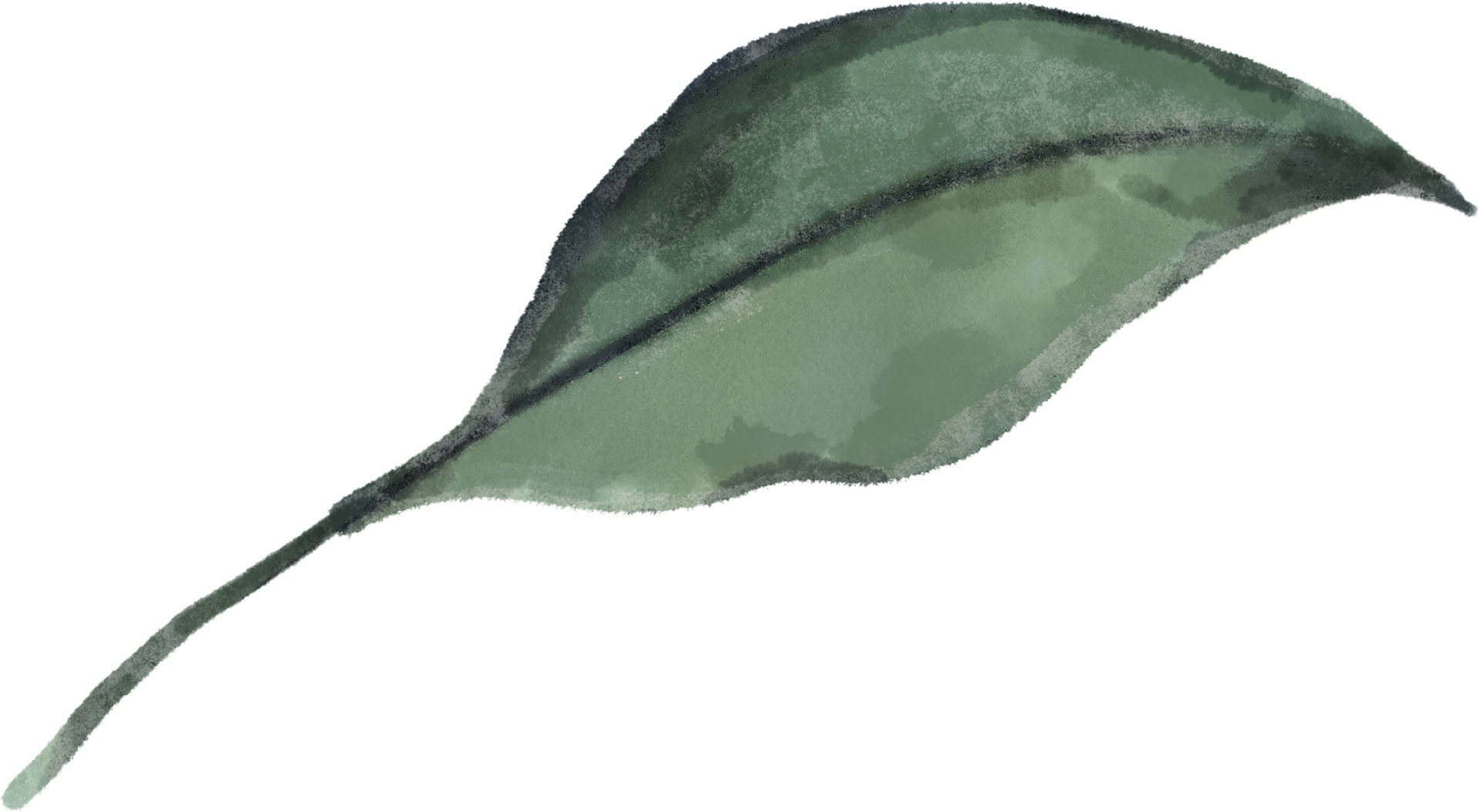 Charming Petals Flower isolated elements 27385112 PNG