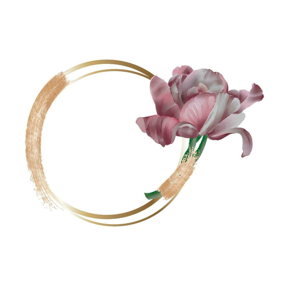 Elegant watercolor Dutch pink tulip flower in a gold circle. vector