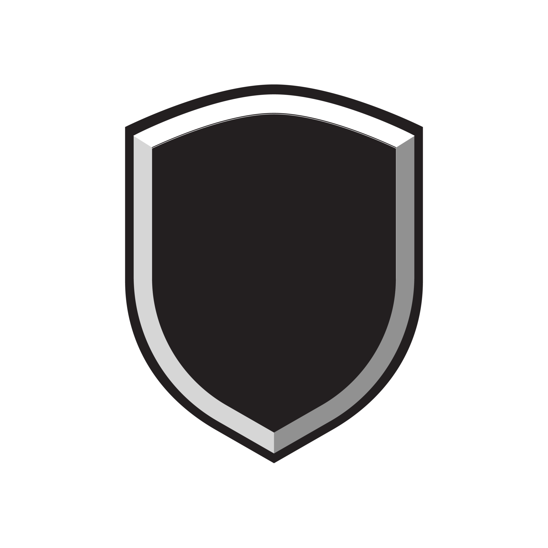 blank e sport shield badge 27385965 PNG