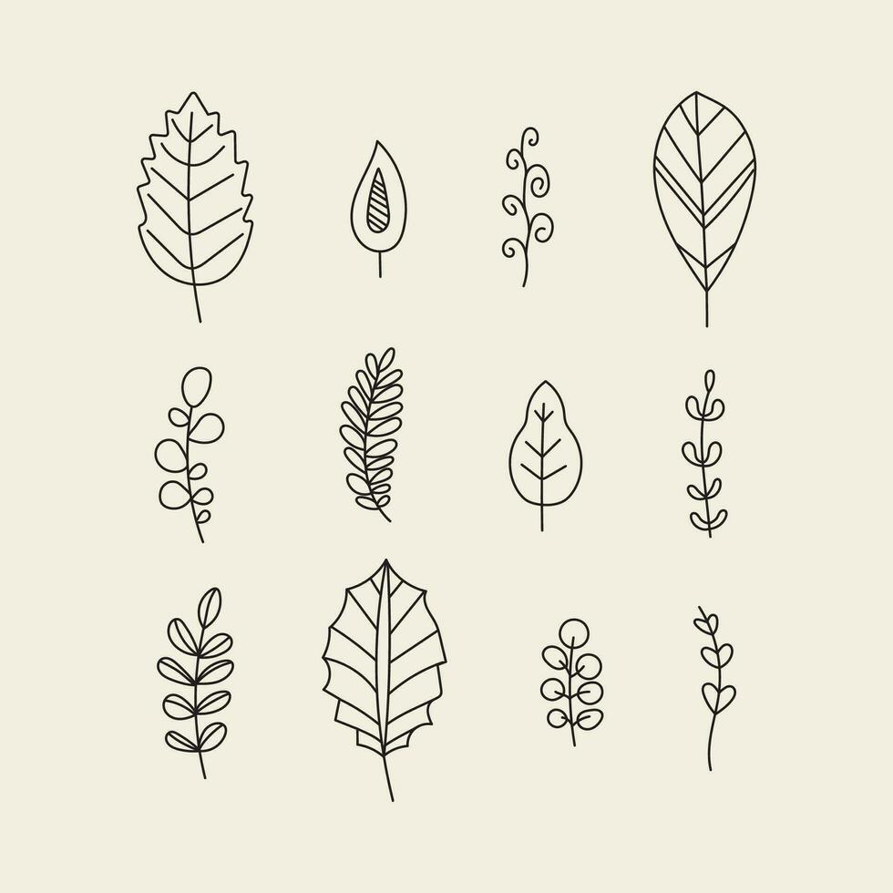 Set of Leaves and Branch. Outline Palm leaf and Olive Branch In a Trendy Minimalist Style vector