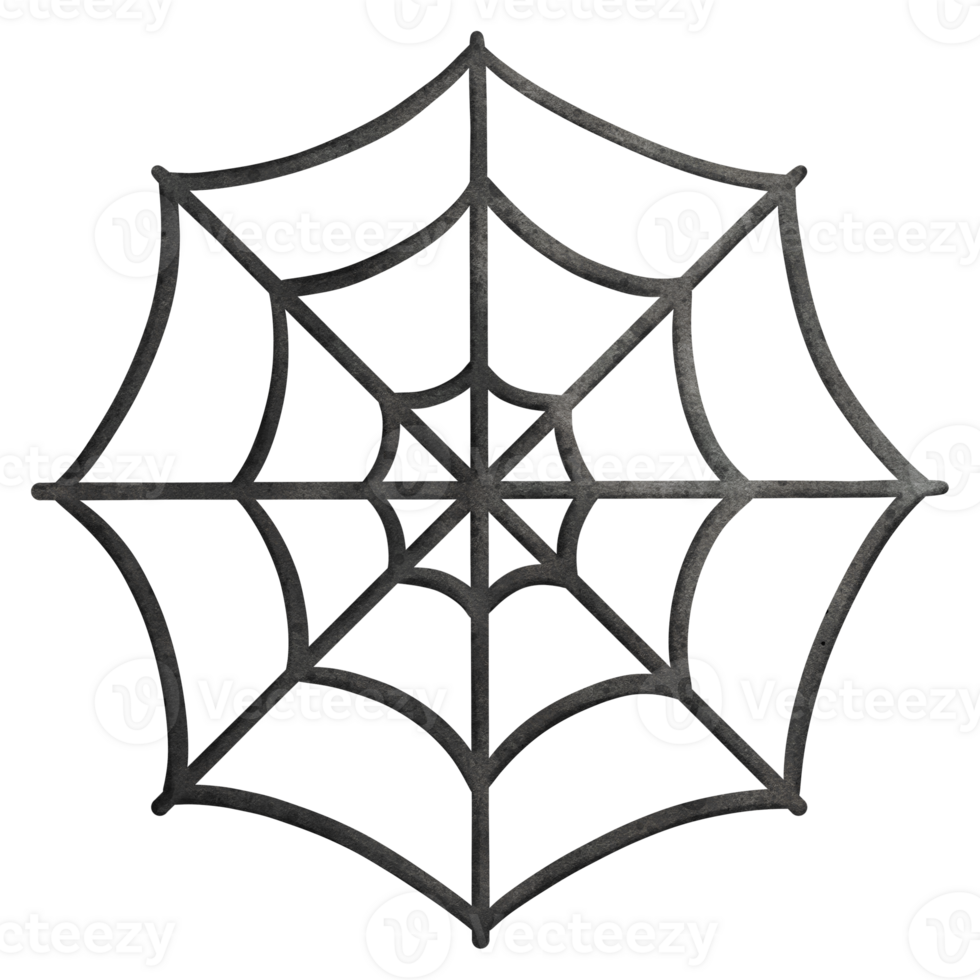 Watercolor Spider Web Illustration png