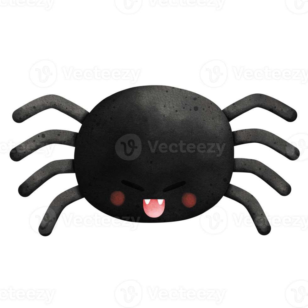 Watercolor Spider Illustration png