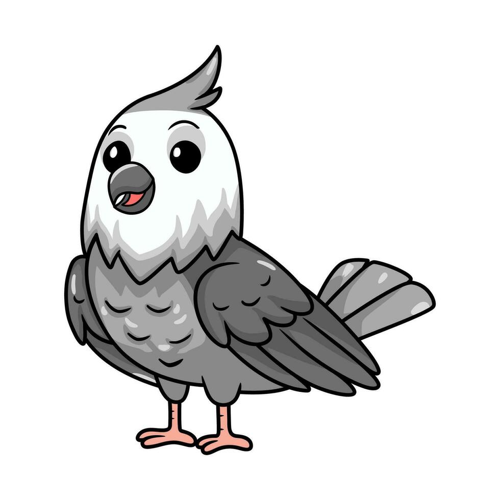 Cute whiteface cockatiel bird cartoon vector