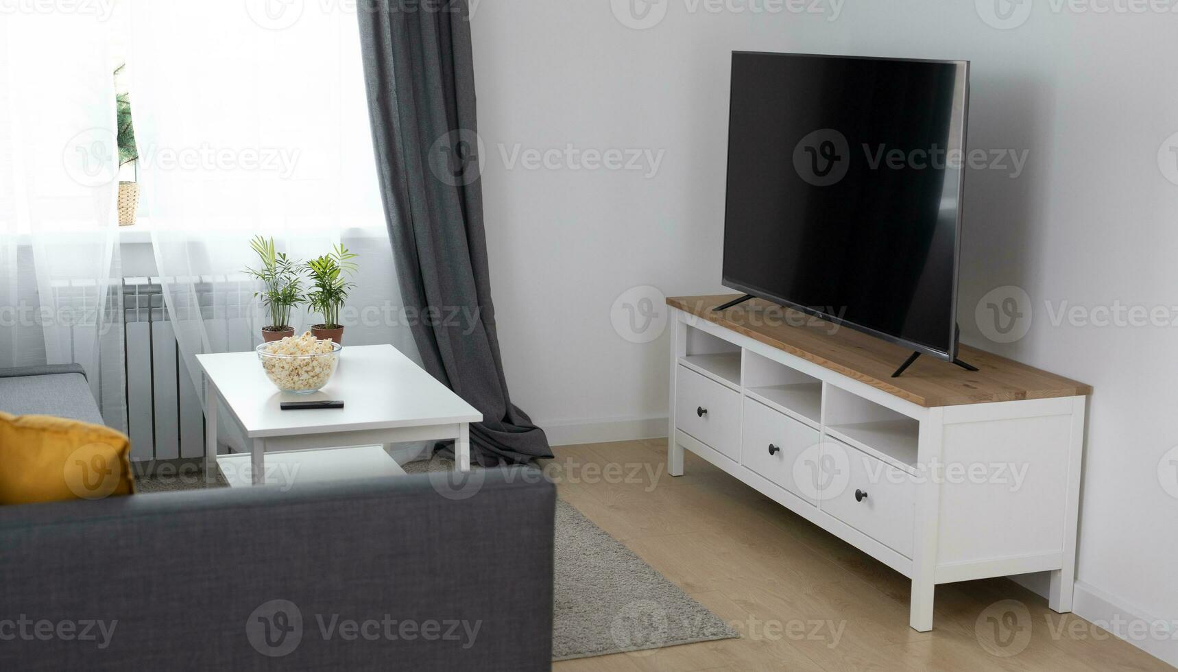 acogedor habitación interior con elegante mueble escandinavo estilo y decoración y moderno televisión conjunto - interior y cómodo hogar concepto foto