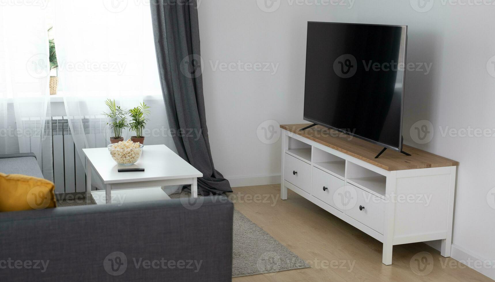 Cozy room interior with stylish furniture scandinavian style and decor and modern TV set - interior and comfortable home concept photo