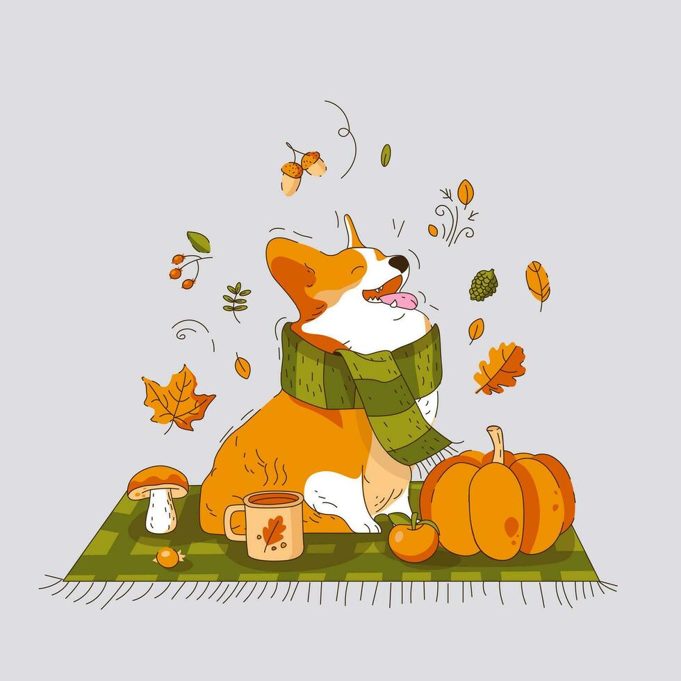A Corgi Dog in a Scarf is Sitting on a blanket.. Picnic in Autumn style. Vector illustration.