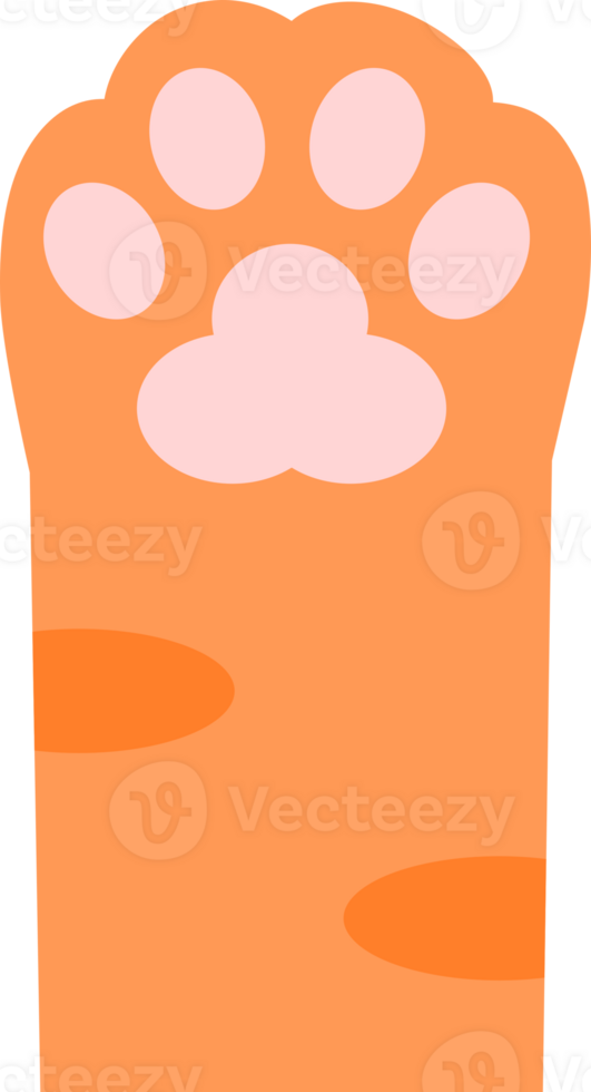 cute paws up cat pet orange png