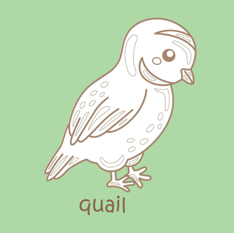 Alphabet Q For Quail Vocabulary School Lesson Cartoon Digital Stamp Outline vector