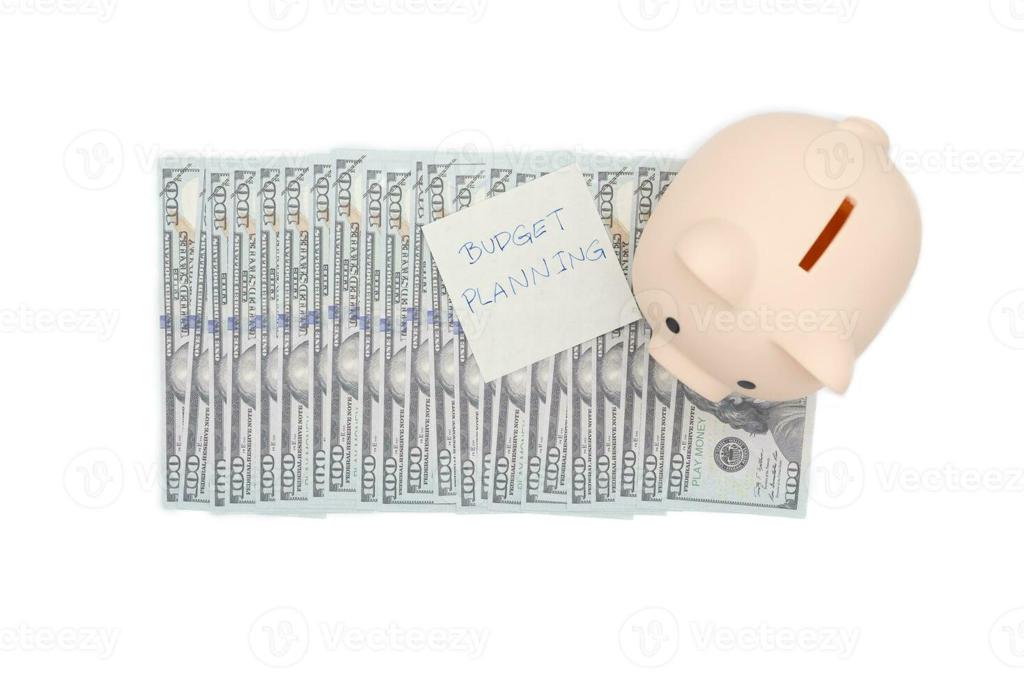 Money budget planning. Piggy bank with Dollars. financial goal concept. Finance and business concept. isolated background. photo