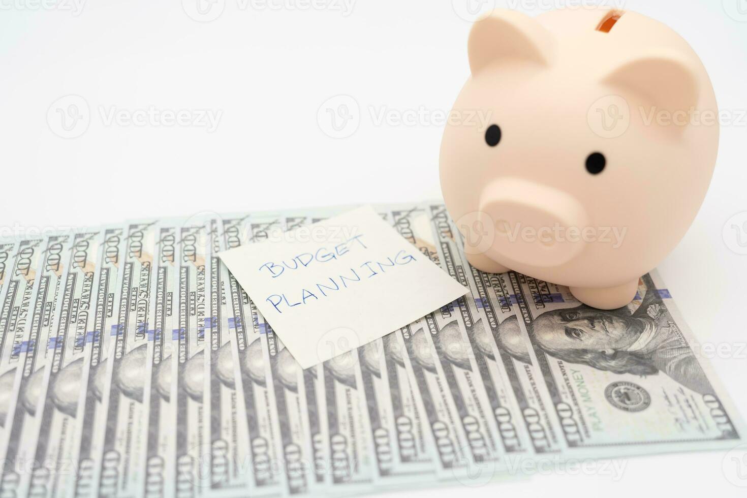 Money budget planning. Piggy bank with Dollars. financial goal concept. Finance and business concept. isolated background. photo